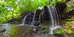 猿壺の滝バーチャルツアー